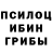 Псилоцибиновые грибы MAGIC MUSHROOMS _ xzvf