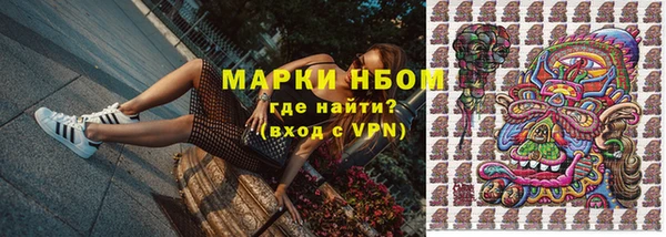 стаф Белоозёрский