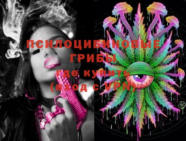 стаф Белоозёрский