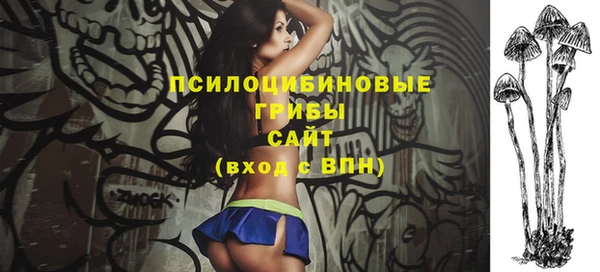 соль ск Богородицк